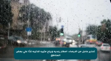 تحذير عاجل من الأرصاد: أمطار رعدية ورياح مثيرة للأتربة غدًا على بعض المناطق